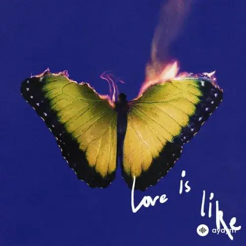 Maroon 5-Lil Wayne - Love Is Like