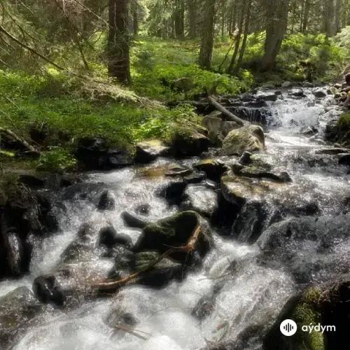 Şaguly Hojagulyýew - Çeşmeler