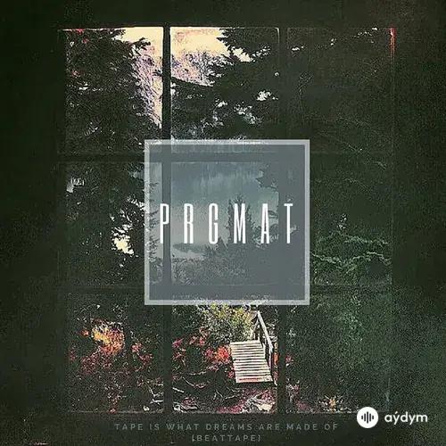 Prgmat  - Alone