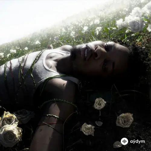 d4vd - Where'd It Go Wrong?