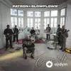 Patron-Slowflows'  - Hayvan