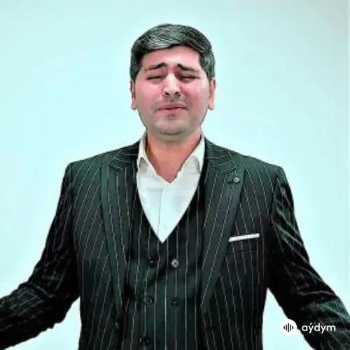 Habil Memmedov