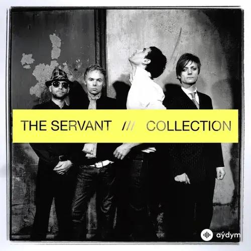 The Servant  - Cells