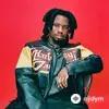 Denzel Curry - ZUU