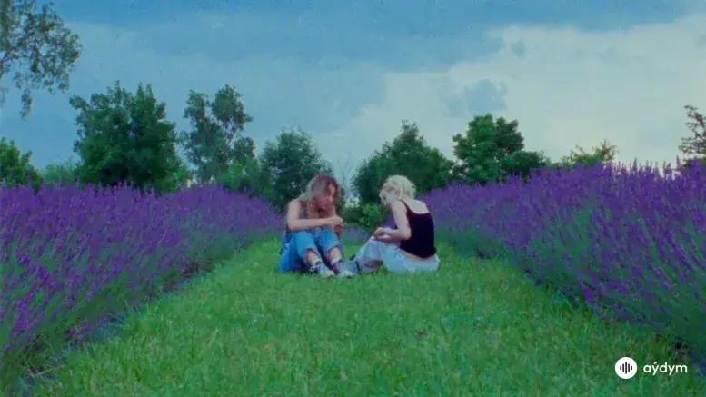 You'd Be Stars (Official Video)