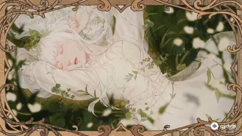 Let The Wind Love You Still Official MV