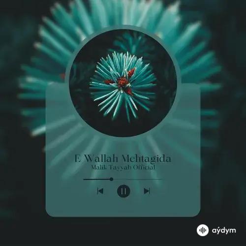 Malik Tayyab Official - E Wallah Mehtagida (Arabic)