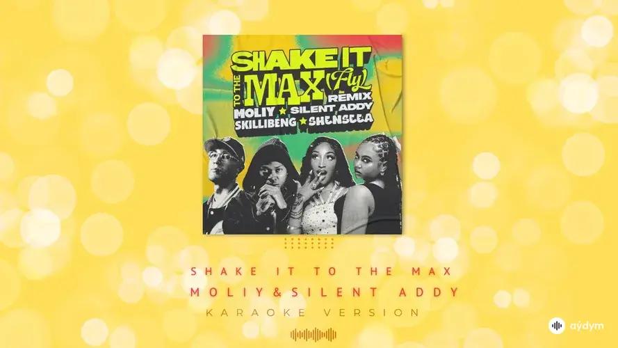 Shake It To The Max
