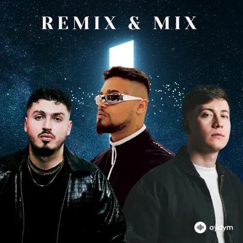 En Iyi Remixler & Mixler
