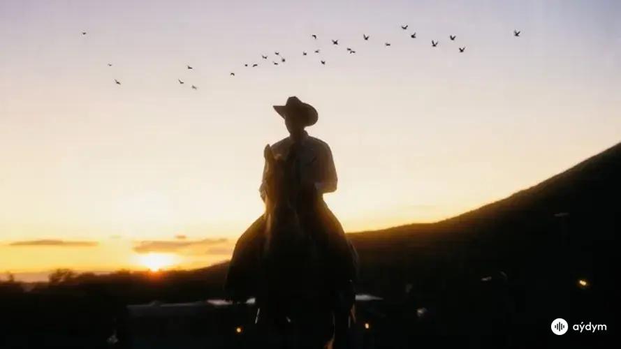 Wild Guess (Official Music Video)