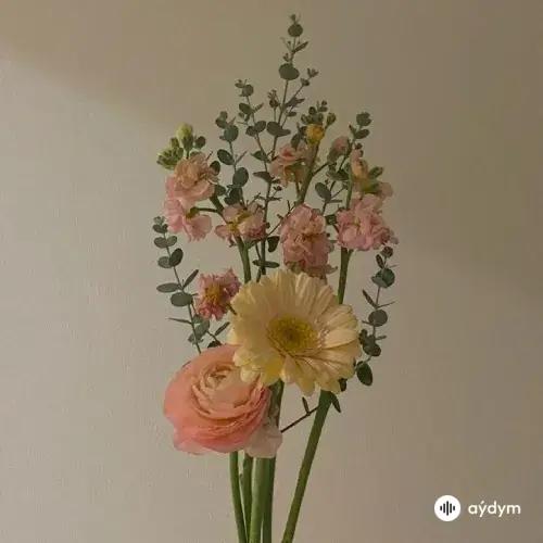 Agaly Mämmedow - Gül Bilbil