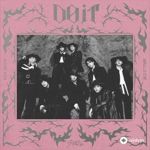 Stray Kids  - Do It