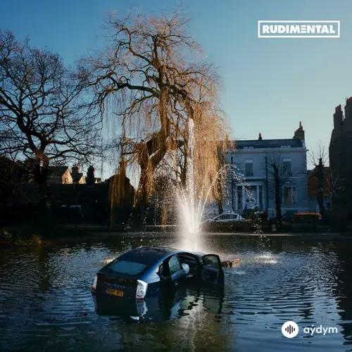 Rudimental -Skepsis -Charlotte Plank-Riko Dan - Green & Gold