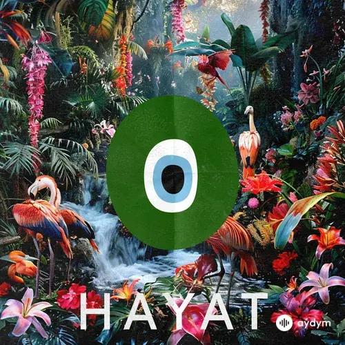 Marc Moon - Hayat