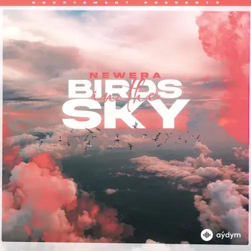 NewEra  - Birds In The Sky