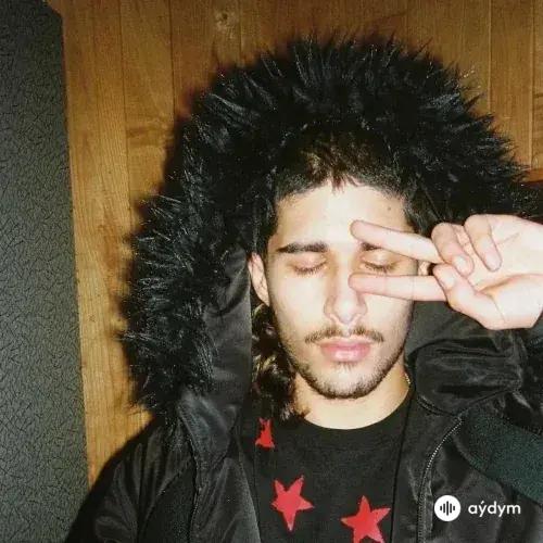 Fakemink 