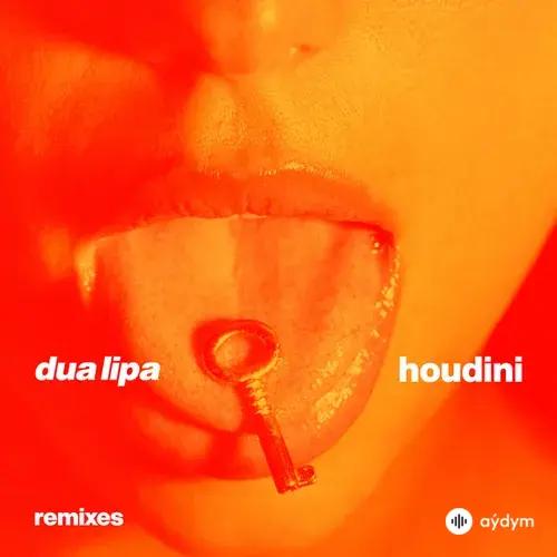 Dua Lipa-Adam Port - Houdini - Adam Port Mix