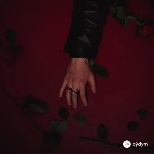 Johnny Huynh - RED ROSE