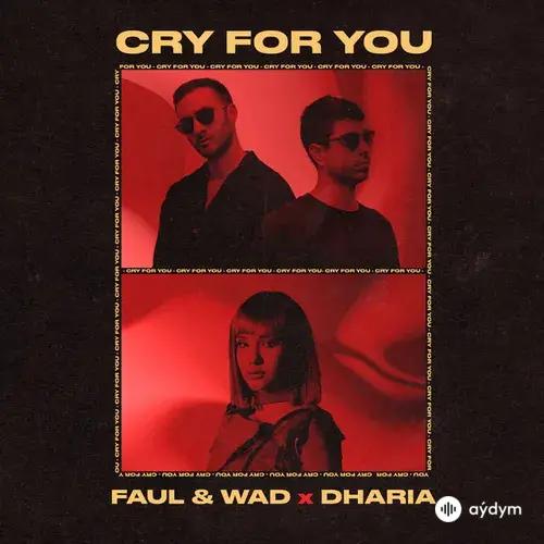 Faul & Wad -Dharia  - Cry For You