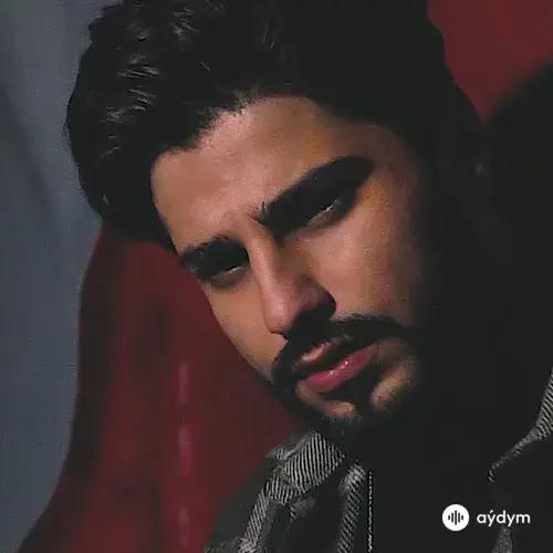 Farid Gasanov - Sonsuza Qədər