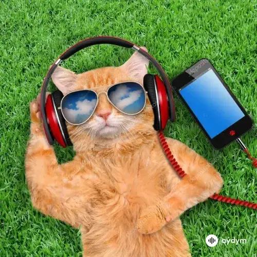 2025 Viral Aýdymlar