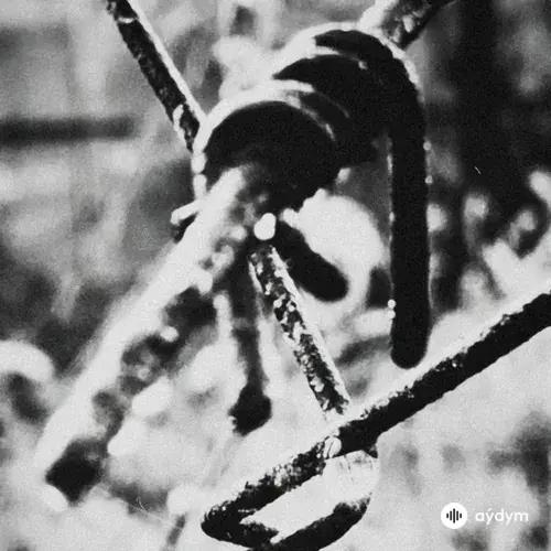 Miyagi-HLOY  - Ограды