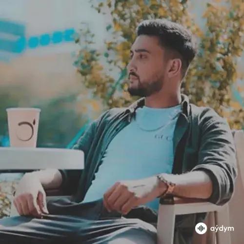 Burak DGNN
