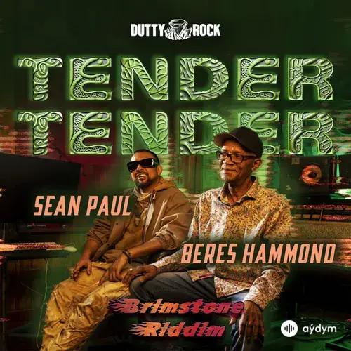 Sean Paul-Beres Hammond - Tender Tender