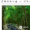 Traditional-Tina Guo-Leo Z - Greensleeves