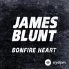 James Blunt - Miss America (Acoustic)
