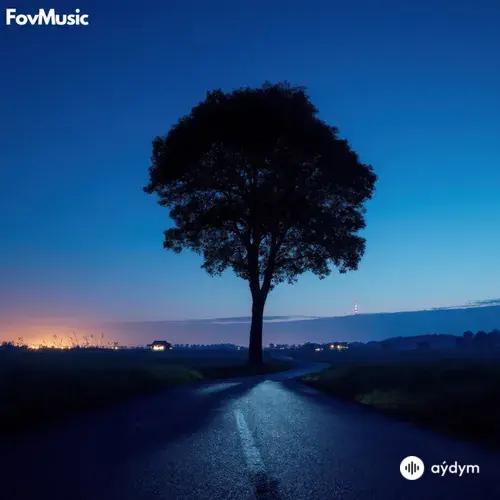 Seeparticles -Fovlife  - midnight snowfall