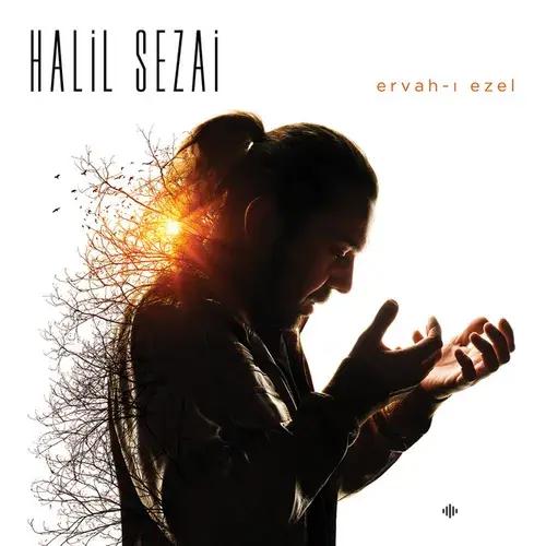Halil Sezai - Git