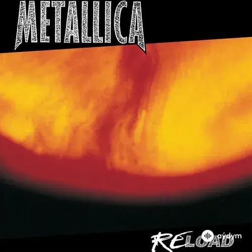 Metallica - Carpe Diem Baby