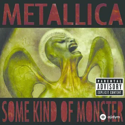 Some Kind Of Monster (Live)