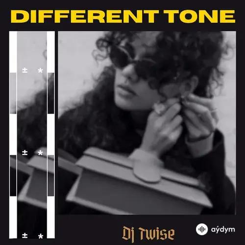 Dj Twise - Different Tone