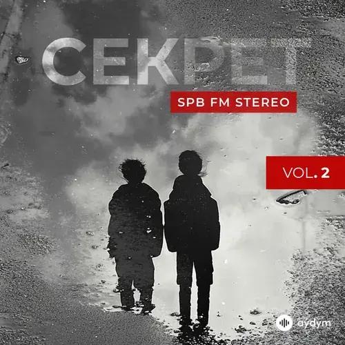 SPB FM Stereo, Vol. 2