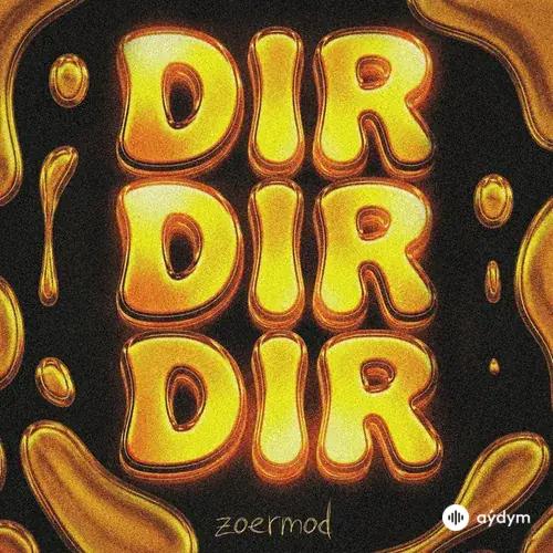Zoermod  - DIR DIR DIR