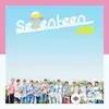 Seventeen  - NO F.U.N