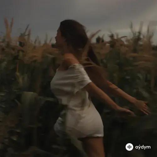 Silence Between Songs