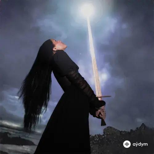 Hailey Picardi - double edged sword