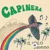 Capinera - Il volo