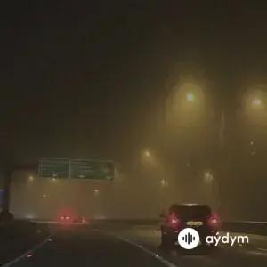 Foggy Night Drive