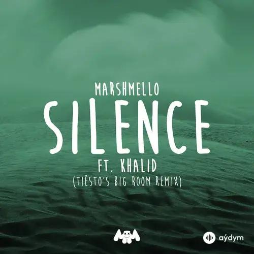 Marshmello -Khalid -Tiesto  - Silence (Tiësto's Big Room Remix)