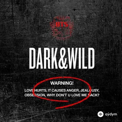 BTS  - Interlude: What Are You Doing Now