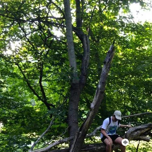 Yung  Lean - Ginseng Strip 2002