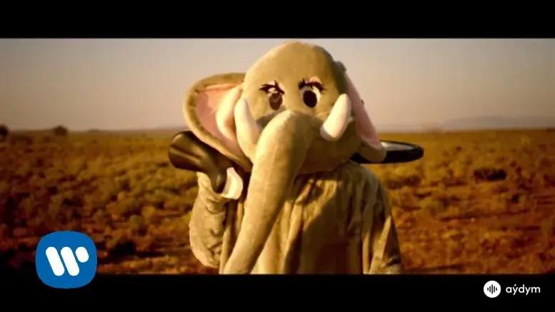 Paradise (Official Video)