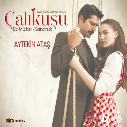 Çalıkuşu (Orijinal Dizi Müzikleri)
