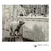 Julien Marchal - Insight XIV