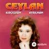 Ceylan  - Elazığ Evleri