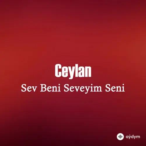 Sev Beni Seveyim Seni